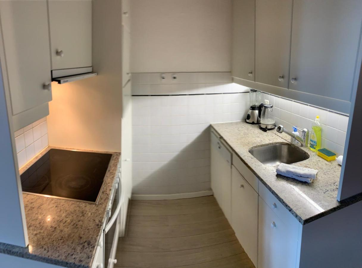 Luxury Duplex Vue Chateau Neuchâtel Kültér fotó