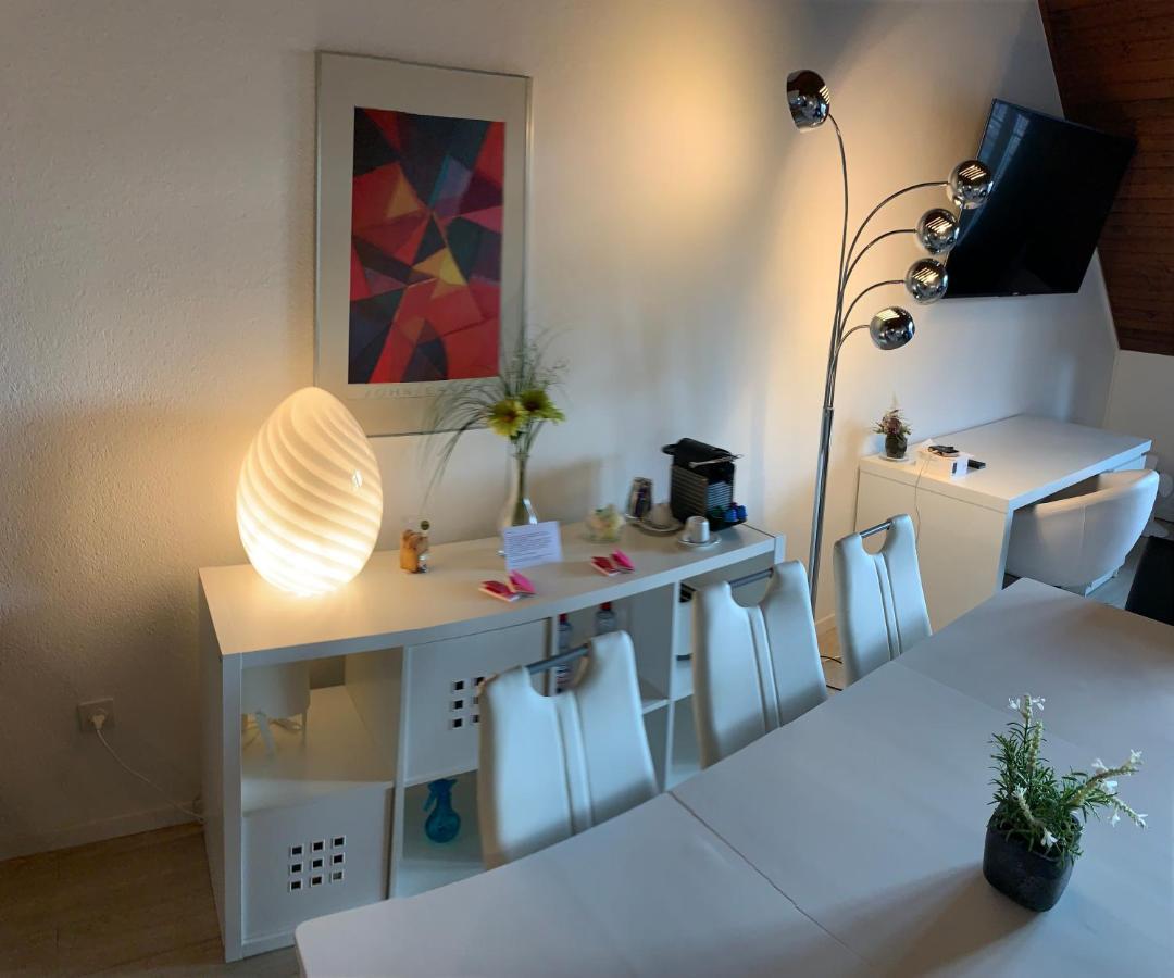 Luxury Duplex Vue Chateau Neuchâtel Kültér fotó