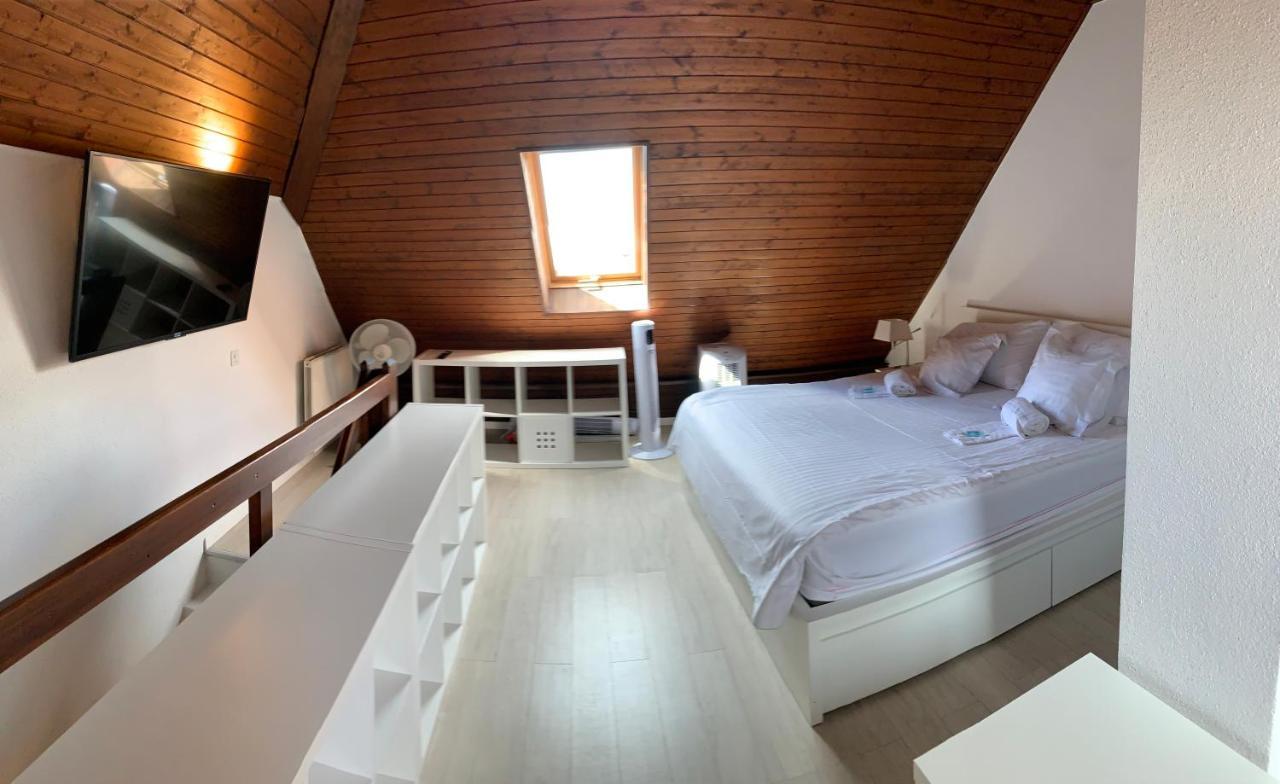 Luxury Duplex Vue Chateau Neuchâtel Kültér fotó
