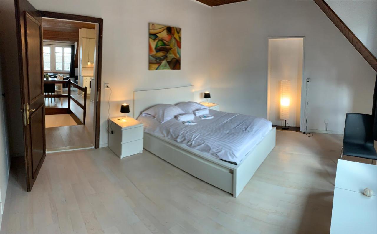 Luxury Duplex Vue Chateau Neuchâtel Kültér fotó