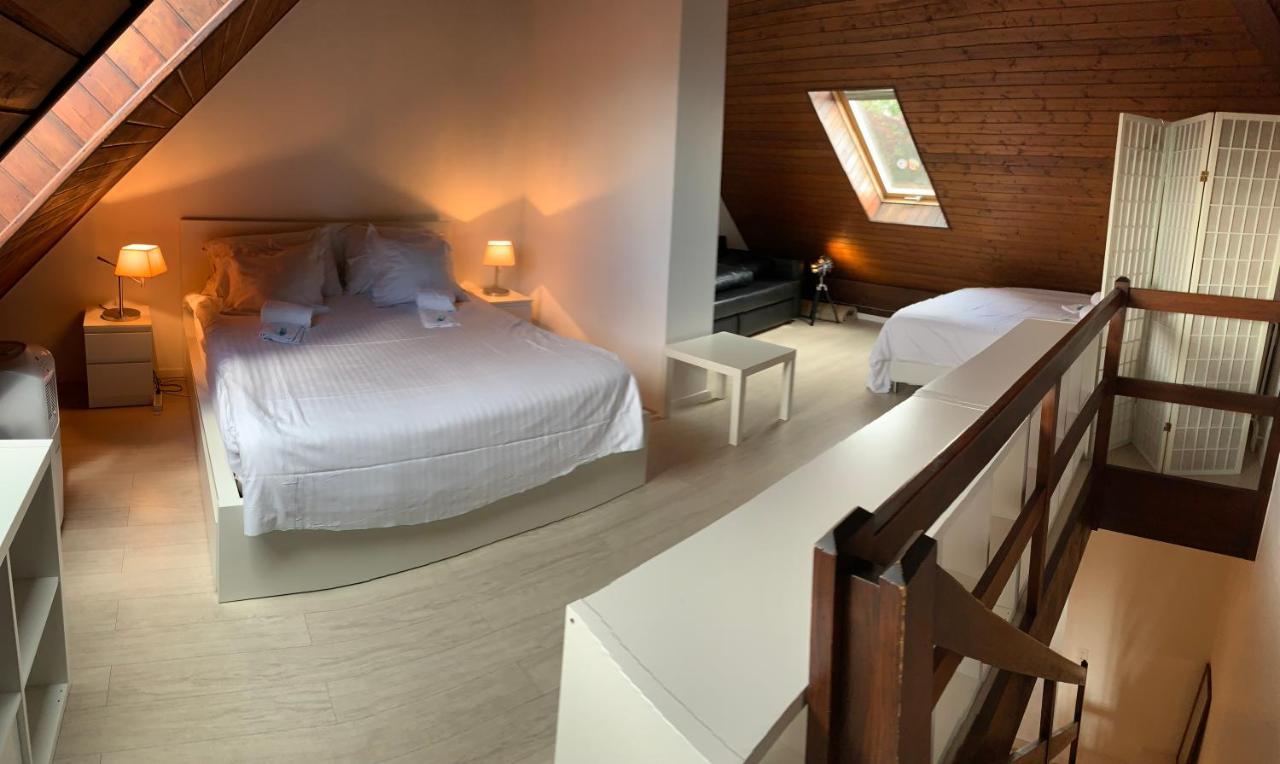 Luxury Duplex Vue Chateau Neuchâtel Kültér fotó