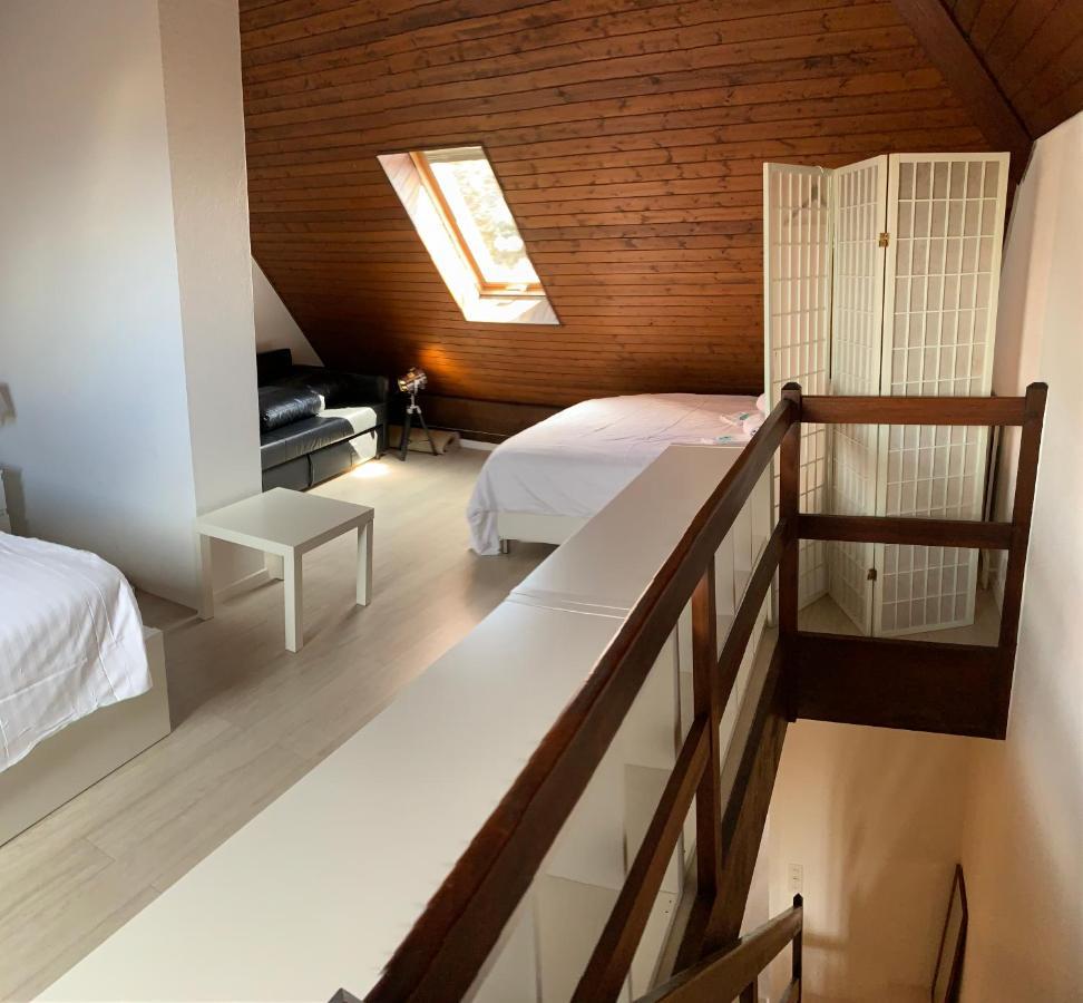 Luxury Duplex Vue Chateau Neuchâtel Kültér fotó