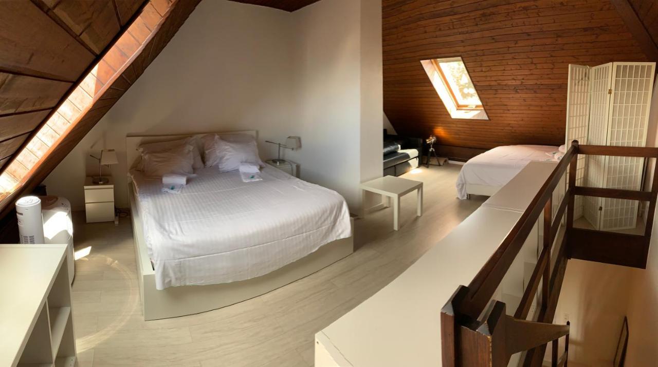 Luxury Duplex Vue Chateau Neuchâtel Kültér fotó
