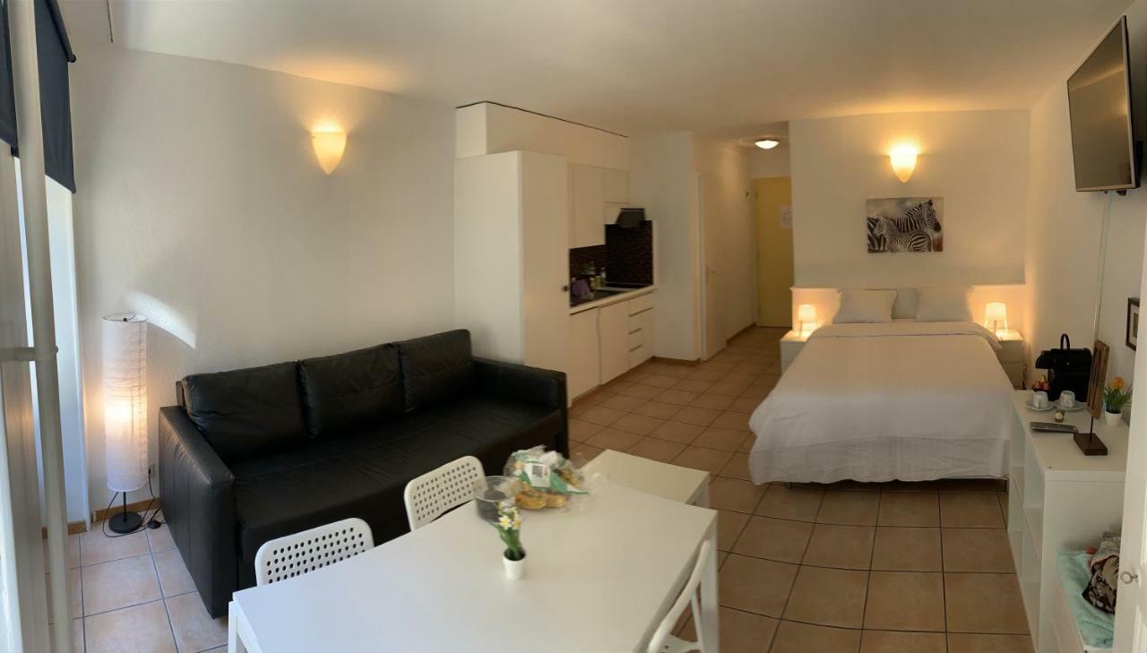 Luxury Duplex Vue Chateau Neuchâtel Kültér fotó