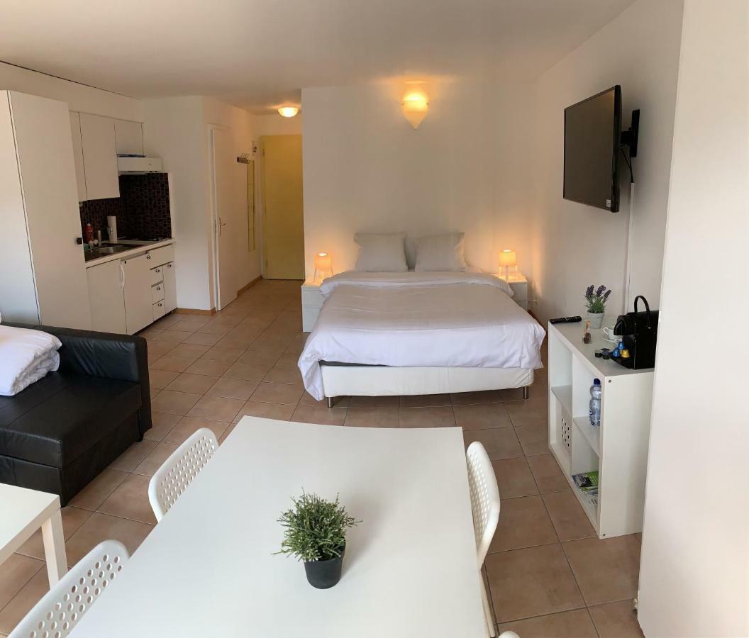 Luxury Duplex Vue Chateau Neuchâtel Kültér fotó